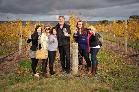 McLaren Vale Winery Small Group Tour With Wine Tasting And Lunch - eAccommodation 3
