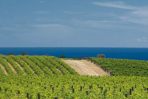 McLaren Vale Winery Small Group Tour With Wine Tasting And Lunch - eAccommodation 4