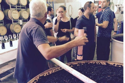 Luxury Private Mclaren Vale Wine Tour - eAccommodation 4