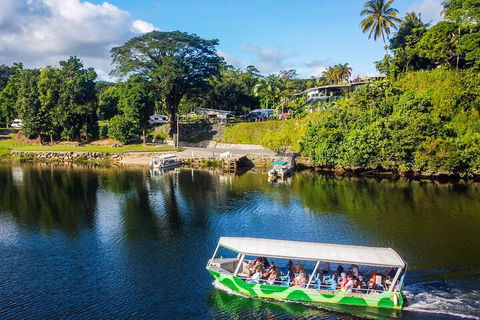 Full Day Tour In The Daintree - eAccommodation 2