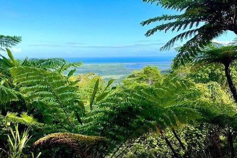 Full Day Tour In The Daintree - eAccommodation 5