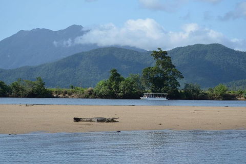 Afternoon Half-Day Daintree Rainforest And River Tour - eAccommodation 2
