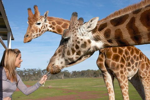 Melbourne City Card (2 Days): Visit Unlimited Attractions! - eAccommodation 1