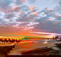 1 Hour Broome Sunset Camel Tour - eAccommodation