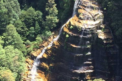 Private Blue Mountains Tour With Kangaroo And Koala Experience - eAccommodation 5