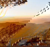 O'Reilly's  Lamington National Park incl. Alpaca Farm  Vineyard - eAccommodation