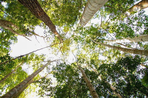 Fraser Island 4WD Tour From Noosa - eAccommodation 0