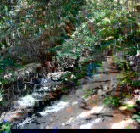 Fraser Island 4WD Tour from Rainbow Beach - eAccommodation