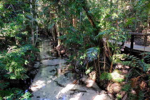 Fraser Island 4WD Tour From Rainbow Beach - eAccommodation 0