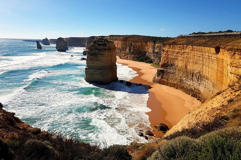 Helicopter Flight + Fine Dining Private Luxury Great Ocean Road Tour - eAccommodation 4