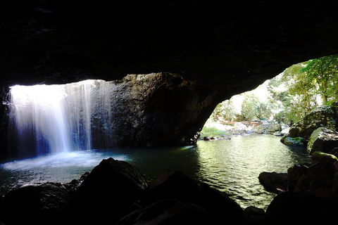 Rainforest & Waterfalls Extravaganza - eAccommodation 0