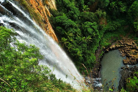 Rainforest & Waterfalls Extravaganza - eAccommodation 1