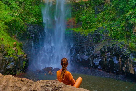 Rainforest & Waterfalls Extravaganza - eAccommodation 2