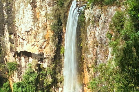 Rainforest & Waterfalls Extravaganza - eAccommodation 3