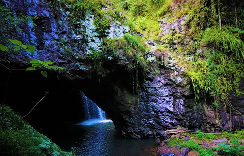Rainforest & Waterfalls Extravaganza - eAccommodation 5