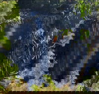 Byron Bay Hinterland Tour Including Rainforest Walk to Minyon Falls - eAccommodation