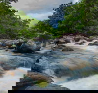 Cape Tribulation Day Tour - eAccommodation