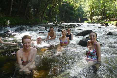 Daintree Rainforest, Cape Tribulation, Mossman Gorge Small-Group Day Tour - eAccommodation 0
