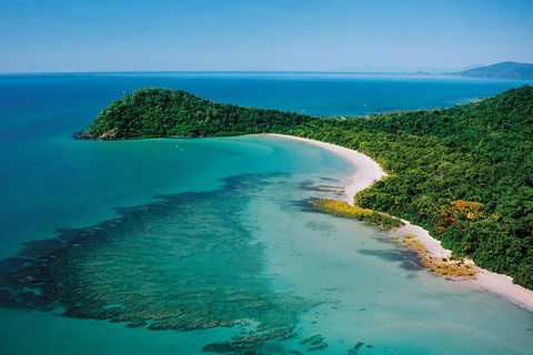 Daintree Rainforest, Cape Tribulation, Mossman Gorge Small-Group Day Tour - eAccommodation 4