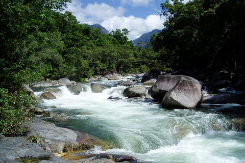 Daintree Rainforest, Cape Tribulation, Mossman Gorge Small-Group Day Tour - eAccommodation 5