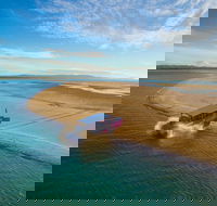 Town of 1770 Afternoon Cruise - eAccommodation