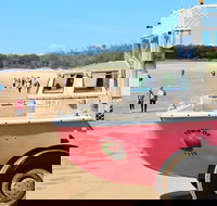 1770 Coastline Tour by LARC Amphibious Vehicle Including Picnic Lunch - eAccommodation