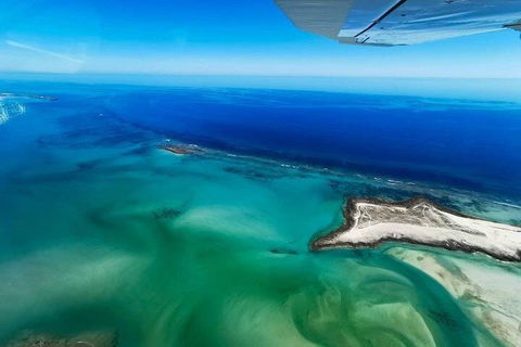 Wet Season Incredible Islands Tour - Horizontal Falls & Cygnet Bay Pearl Farm - eAccommodation 4