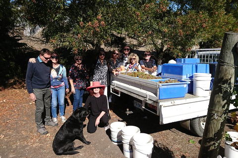 Valleys Of Vino Tour - eAccommodation 1