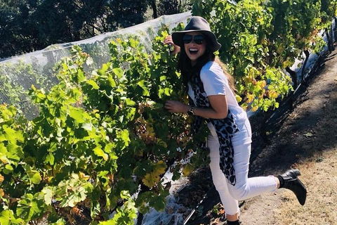 Valleys Of Vino Tour - eAccommodation 3