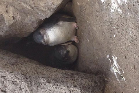 Food Tour Melbourne - St Kilda - eAccommodation 3