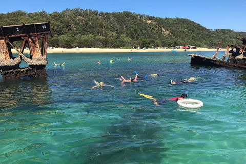 All Inclusive Dolphin And Tangalooma Wrecks Cruise - eAccommodation 0