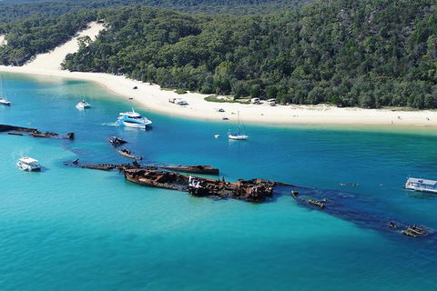 All Inclusive Dolphin And Tangalooma Wrecks Cruise - eAccommodation 4