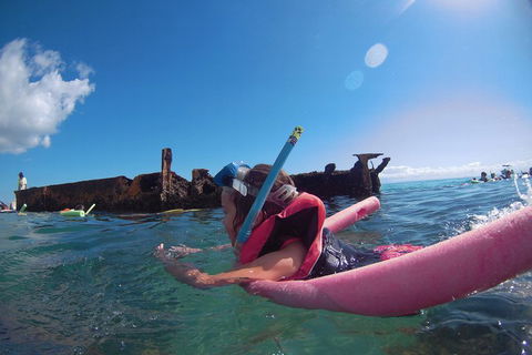 All Inclusive Tangalooma Wrecks Cruise Tour From Gold Coast - eAccommodation 3