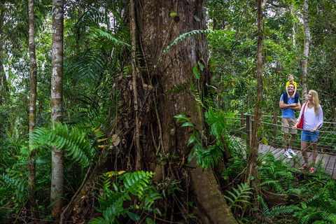 Kuranda Day Tour + HotAir Balloon Combo - eAccommodation 3
