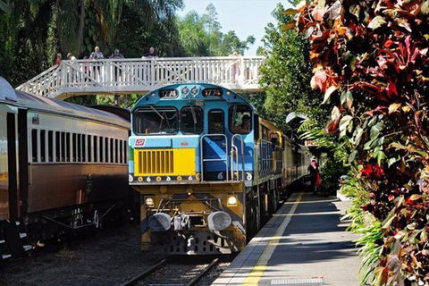 Kuranda Day Tour + HotAir Balloon Combo - eAccommodation 4
