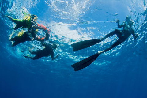 Passions Of Paradise Great Barrier Reef Snorkel And Dive Cruise From Cairns By Luxury Catamaran - eAccommodation 2