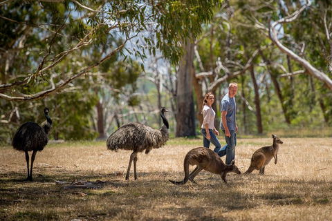 Mount Lofty Hike And Cleland Wildlife Park Day Trip From Adelaide - eAccommodation 5
