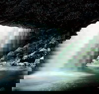 Natural Bridge Glow Worm Night Tour from Gold Coast - eAccommodation