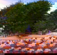 Byron Bay and the Crystal Castle Day Tour from Gold Coast - eAccommodation