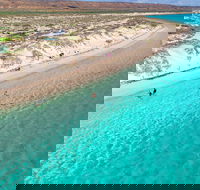 Ningaloo in a Day - Full Day Hike and Snorkel Tour with Lunch - eAccommodation