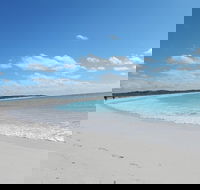 Shipwreck Special Nature Tour/Half Day Tour - eAccommodation