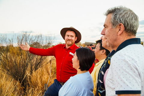 Uluru (Ayers Rock) Sunset With Outback Barbecue Dinner And Star Tour - eAccommodation 3