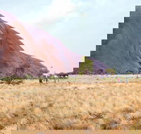 Uluru Sunrise and Guided Base Walk - eAccommodation