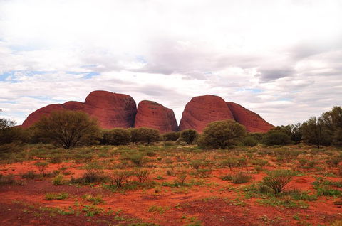 Ayers Rock Combo: Uluru Base And Sunset Plus Uluru Sunrise And Kata Tjuta With An Optional BBQ Dinner Or Kings Canyon Day Trip - eAccommodation 1