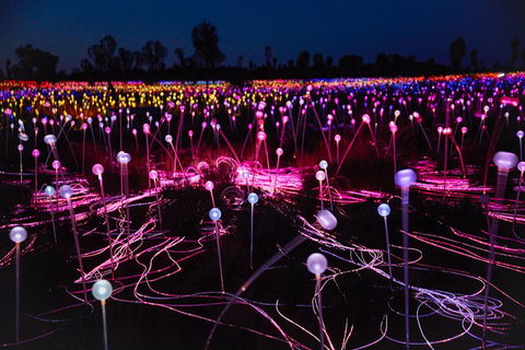 Uluru (Ayers Rock) Field Of Light Sunrise Tour - eAccommodation 1