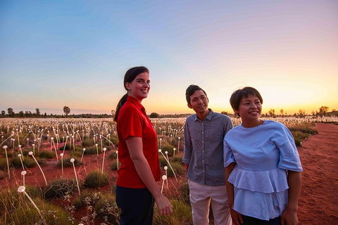 Uluru (Ayers Rock) Field Of Light Sunrise Tour - eAccommodation 2