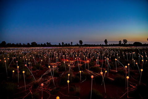 Uluru (Ayers Rock) Field Of Light Sunrise Tour - eAccommodation 4