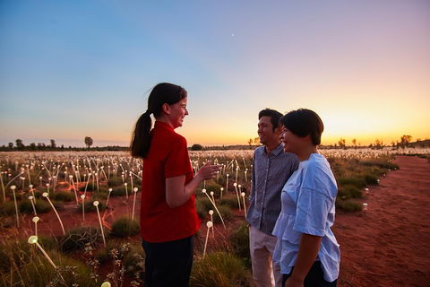 Uluru (Ayers Rock) Field Of Light Sunrise Tour - eAccommodation 5