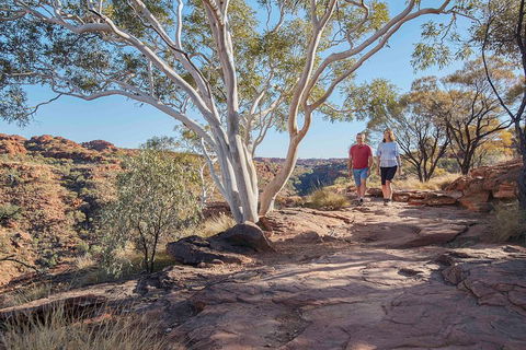 3-Day Tour From Uluru (Ayers Rock) To Alice Springs Via Kings Canyon - eAccommodation 1