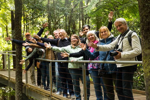 All Inclusive Blue Mountains Small-Group Day Trip From Sydney - eAccommodation 5